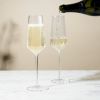 Seneca Crystal Champagne Flutes ViskiÂ