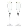 Crystal Gold-Rimmed Champagne Flutes ViskiÂ