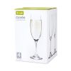 CuvÃ©e Set of 4 Champagne Flutes by True